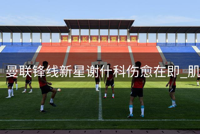曼联锋线新星谢什科伤愈在即 肌肉暴涨背后暗藏玄机